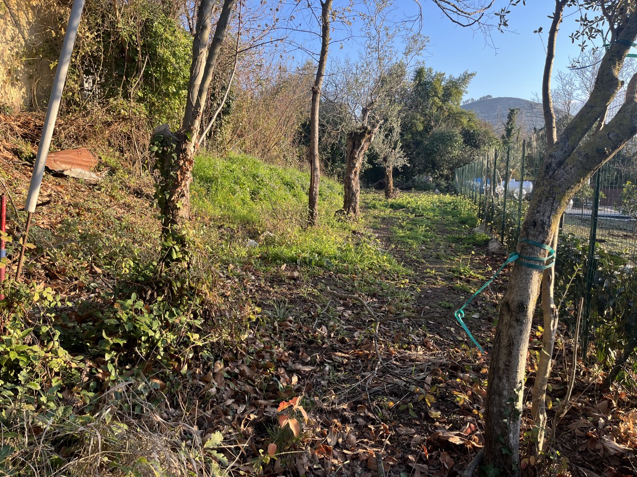 MT Immobiliare - Caserta, Via san rocco garzano